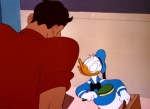 Donald's Dream Voice © Walt Disney